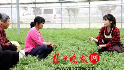 蓉蓉（右）教鄉親們種植冰草。