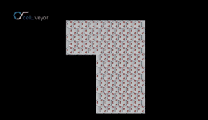 http://www.knexny.com/UploadFiles/2019-02/20192184986489433.jpg