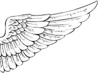 http://www.knexny.com/UploadFiles/2019-02/20192189225800323.png
