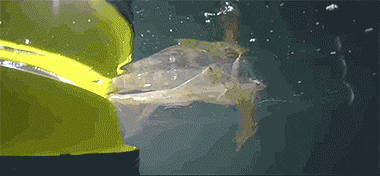 http://www.knexny.com/UploadFiles/2019-02/20192193002266755.gif