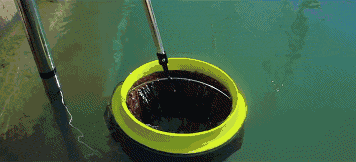http://www.knexny.com/UploadFiles/2019-02/20192199087774209.gif