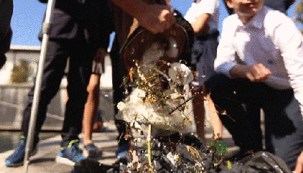 http://www.knexny.com/UploadFiles/2019-02/20192199037887550.gif