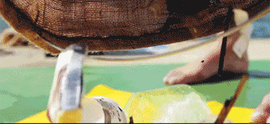 http://www.knexny.com/UploadFiles/2019-02/20192196286406740.gif