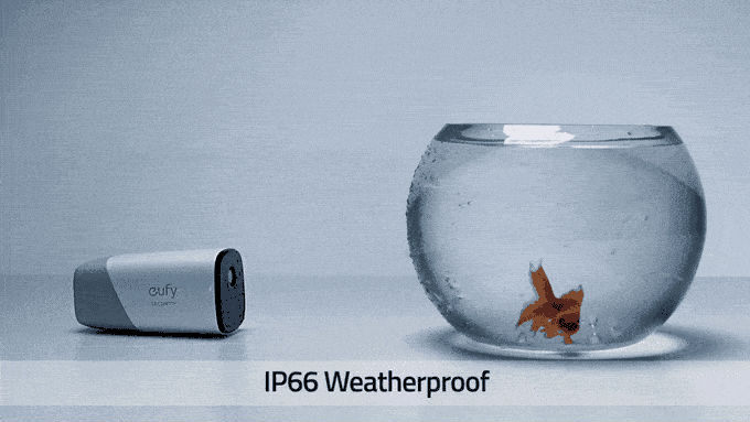 http://www.knexny.com/UploadFiles/2019-02/20192192722193872.gif?imageView2/2/w/780/h/439/q/100