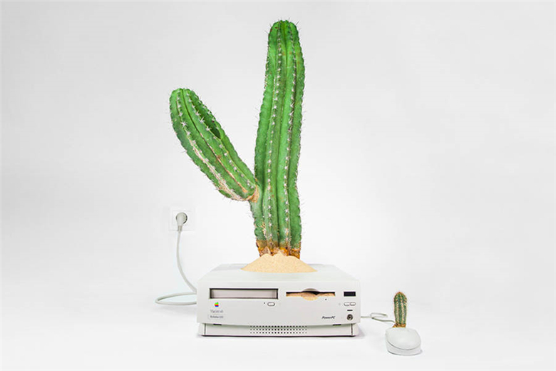http://www.knexny.com/UploadFiles/2019-02/20192192839971295.jpg?imageView2/2/w/780/h/520/q/100