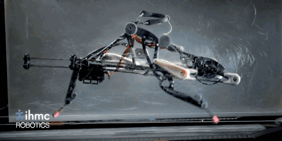 http://www.knexny.com/UploadFiles/2019-02/20192205088804072.gif