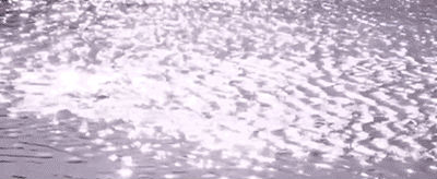 http://www.knexny.com/UploadFiles/2019-02/20192204909662648.gif