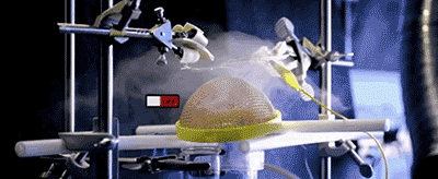 http://www.knexny.com/UploadFiles/2019-02/20192204937124730.gif