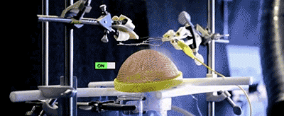 http://www.knexny.com/UploadFiles/2019-02/20192200829255350.gif