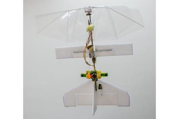 http://www.knexny.com/UploadFiles/2019-02/20192211576679541.jpg