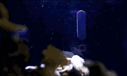 http://www.knexny.com/UploadFiles/2019-02/20192223469770668.gif