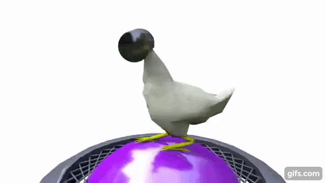http://www.knexny.com/UploadFiles/2019-02/20192229594550652.gif