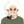 http://www.knexny.com/UploadFiles/2019-02/20192220516902265.jpg