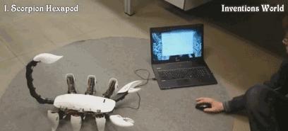 http://www.knexny.com/UploadFiles/2019-02/20192238272252487.jpeg
