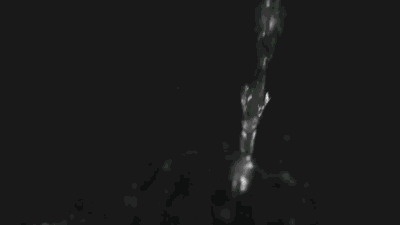 http://www.knexny.com/UploadFiles/2019-02/20192233004091302.gif