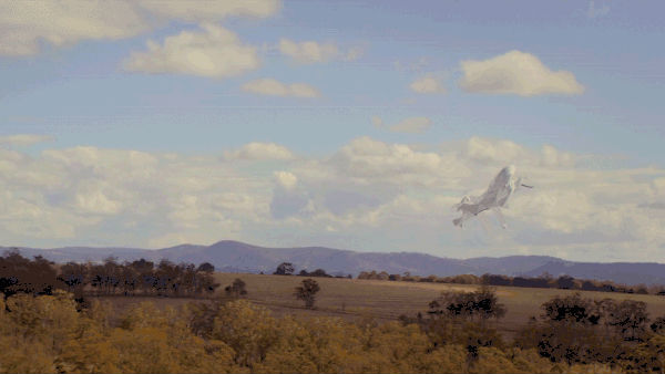 http://www.knexny.com/UploadFiles/2019-02/20192254031027840.gif