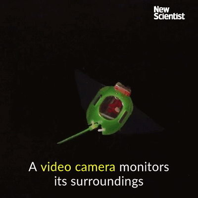 http://www.knexny.com/UploadFiles/2019-03/2019318816619696.gif