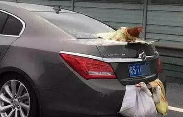 漲知識，看看人類對汽車奇思妙想的創意發明