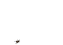 上刀山下火海，這個(gè)能打滾的球形無(wú)人機(jī)創(chuàng)了業(yè)內(nèi)先河！