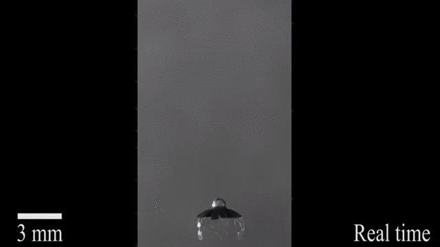 http://www.knexny.com/UploadFiles/2019-07/20197212909968686.gif