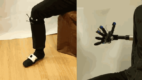 http://www.knexny.com/UploadFiles/2019-07/20197316152210472.gif