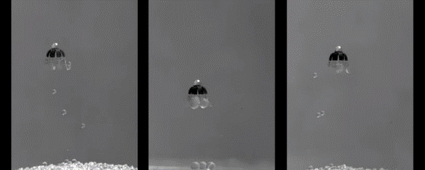 搜狗截圖19年07月10日0919_5.png